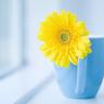 蛋炒土豆丝有毒吗